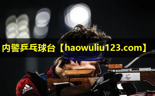 内警乒乓球台